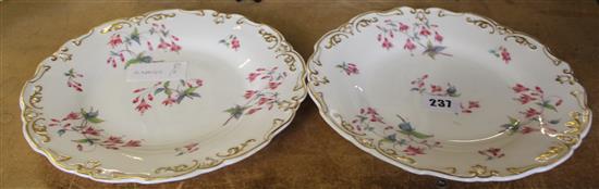 Pair Minton plates(-)